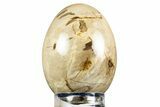 Colorful Polished Petrified Wood Egg - Philippines #309035-1